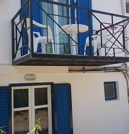 Nikoletta 1 *