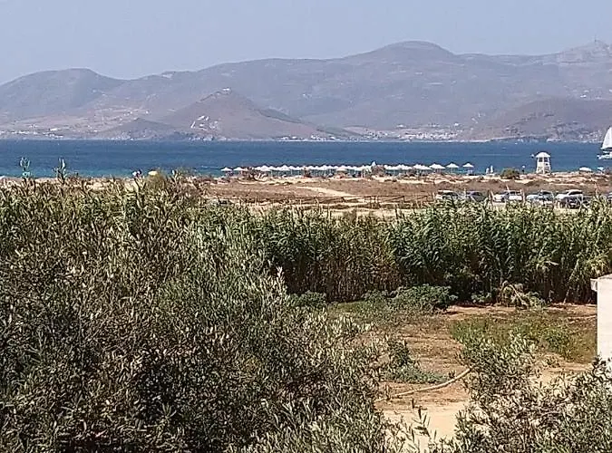 Nikoletta 1 Apartamento Agios Prokopios (Naxos)